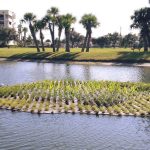 A so-called "detention pond" in Cape Canaveral, intended to reduce pollutants in the water, in a city that experiemnts with various ways to improve and protect its environment. (Facebook)