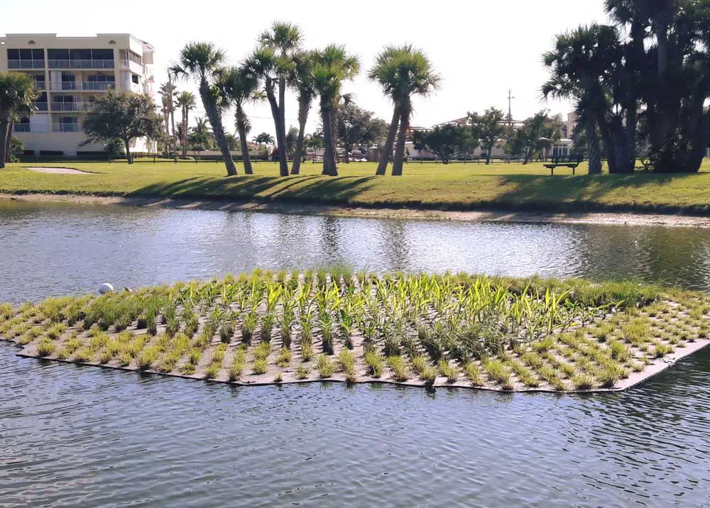 A so-called "detention pond" in Cape Canaveral, intended to reduce pollutants in the water, in a city that experiemnts with various ways to improve and protect its environment. (Facebook)