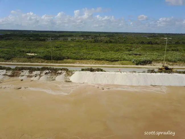 A drone picture taken today showing the contrast between the eroded part of the dunes and the parts being rebuilt in an emergency measure by the Florida Department of Transportation, with white sand imported from hawthorne near Gainesville. (© Scott Spradley for FlaglerLive)