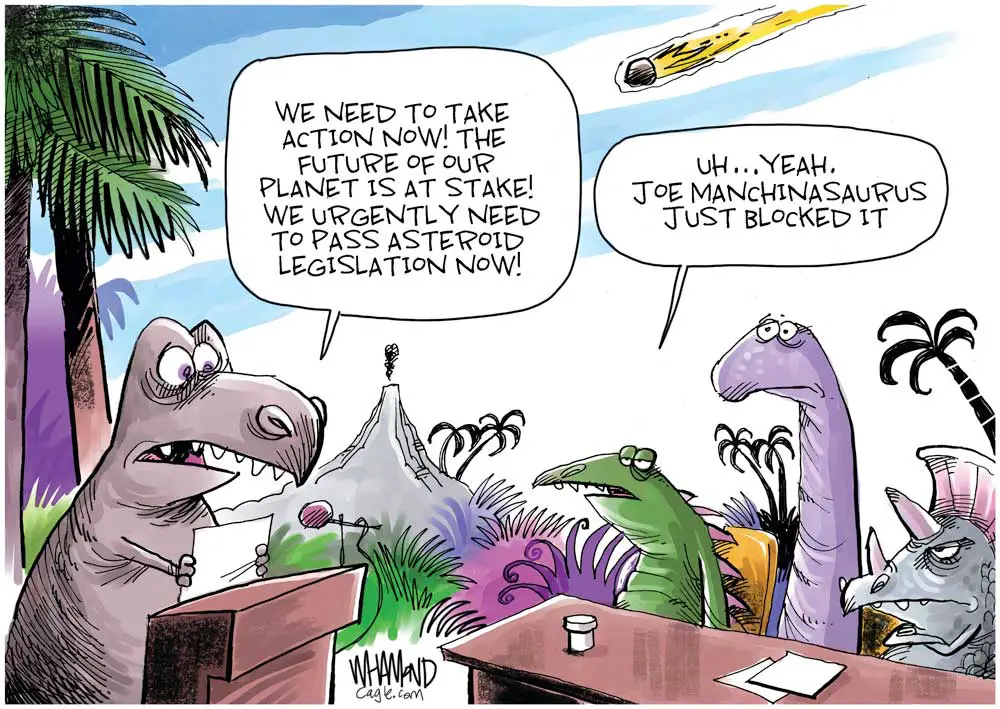 Manchin the DINO blocks climate bill by Dave Whamond, Canada, PoliticalCartoons.com