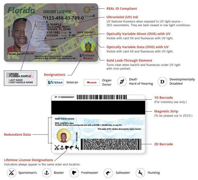 florida driver's license 