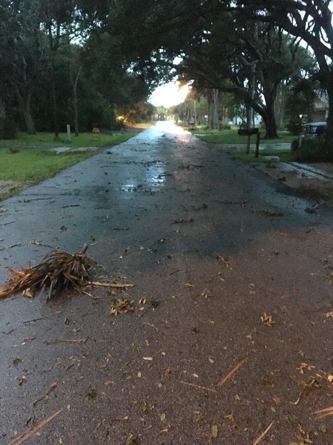 South Flagler Avenue in Flagler Beach at first light: some shrubbery down, but the power was still on and water levels were low. (c FlaglerLive)