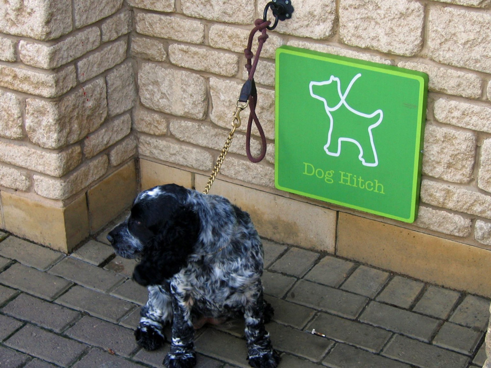 Dog leash outlet wall hitch