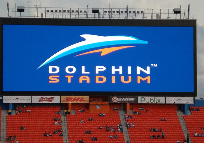 Florida Football Miami Dolphins To Have Fans In The Stands At First 2020  Home Game - Narcity