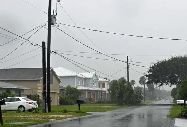 A downed power line on South Daytona Avenue in Flagler Beach at midday today, one of many. (© FlaglerLive)