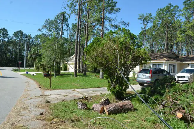 Four days after the storm, power lines were still down and running across a driveway at Porcupine and Point Pleasant Drive in Palm Coast. (c FlaglerLive)