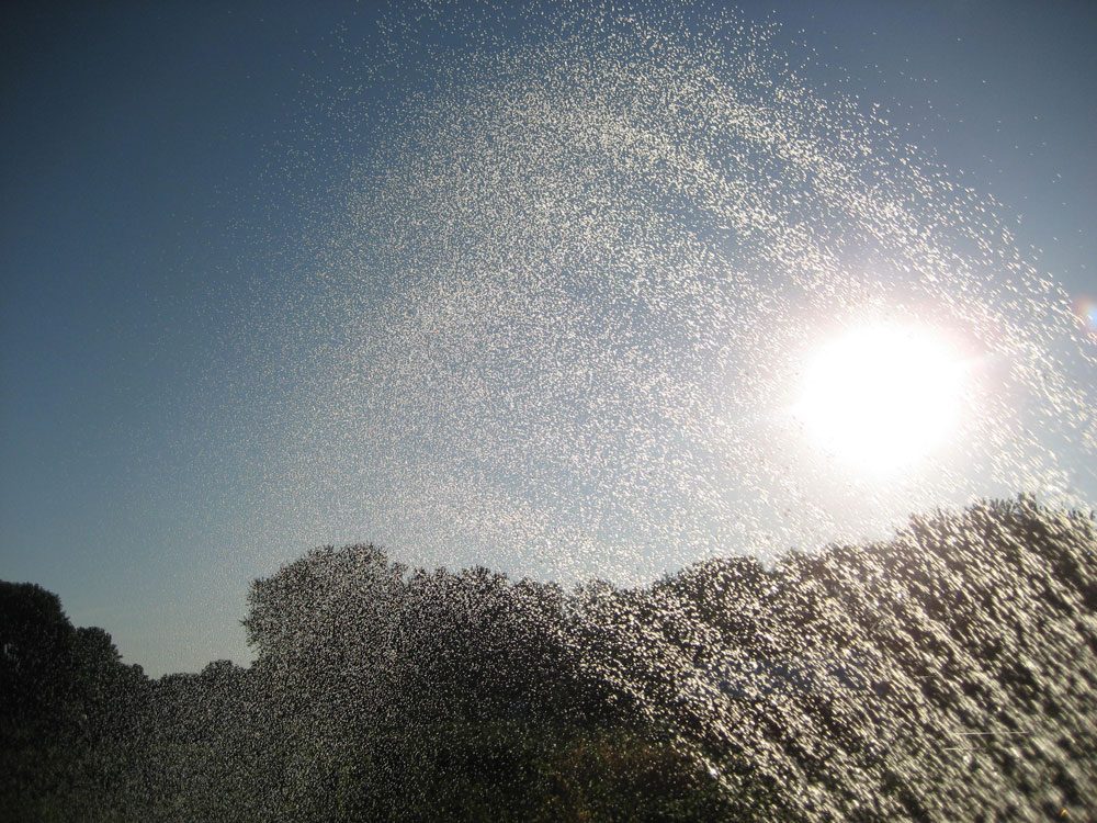 water conditions drought ann shoretell