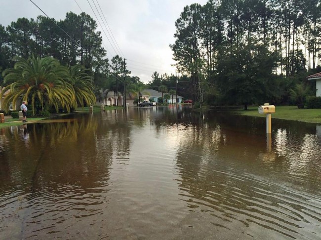 In the L Section at Laramie Drive this morning. Click on the image for larger view. (Lois Lynn Duncan)