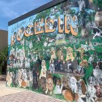 An image from the Dunedin tourism bureau's Facebook page. The bureau explains: "Dunedin’s most famous corner and mural. A local artist hand painted each animal for their owners. She also comes back to add a halo on their when they pass. It’s so sweet. Just an FYI, there’s more than just dogs on this mural. There’s cats, birds, lizards and pigs."