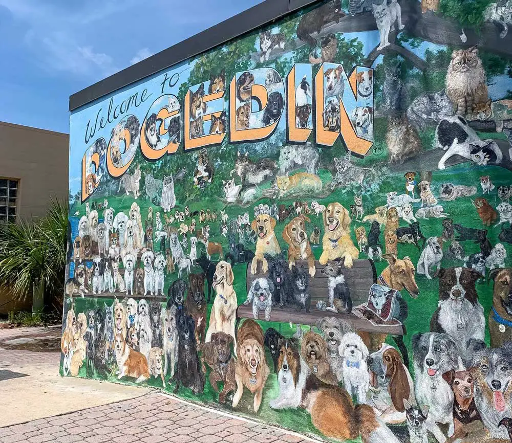 An image from the Dunedin tourism bureau's Facebook page. The bureau explains: "Dunedin’s most famous corner and mural. A local artist hand painted each animal for their owners. She also comes back to add a halo on their when they pass. It’s so sweet.Just an FYI, there’s more than just dogs on this mural. There’s cats, birds, lizards and pigs."