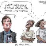 Fox News Race-baiting by Adam Zyglis, The Buffalo News.