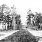Hungerford School in Eatonville, Fla., around 1900. (Florida Memory)