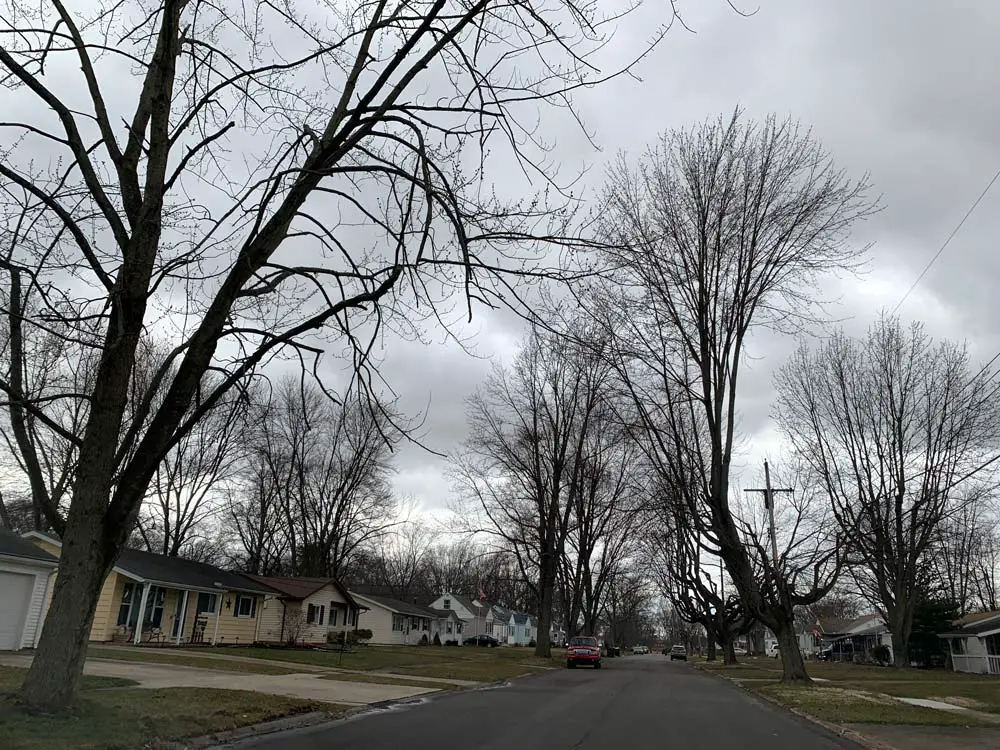It only looks bleak: a street in Elyria, Ohio, where at least a few voters rejected their Legislature's attempt at an end-run around democracy. (© FlaglerLive)
