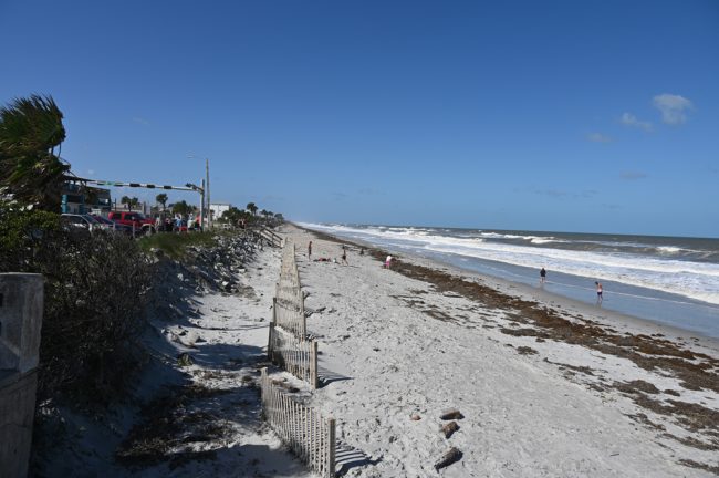 Beaches suffered significant erosion, but newly dumped sand protected State Road A1A. (© FlaglerLive)