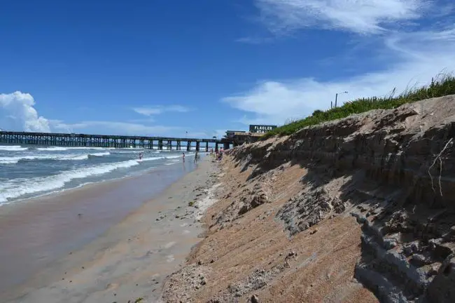 The last two weeks' erosion just north of the Flagler Beach pier. (© FlaglerLive)