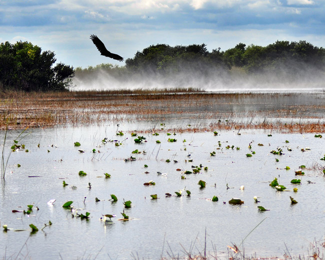 Environmentalists say looming development plans might make it harder for the state to buy land important for Everglades Restoration. (Len 'Doc' Radin)