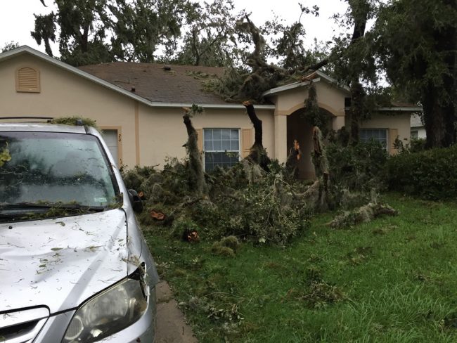 On Faraday Lane in Palm Coast. (Palm Coast)