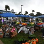 The famers market had been run by Flagler Strong, the non-profit, at Wickline Park since 2022. It will move to South 2nd Street after July 4. (© FlaglerLive)
