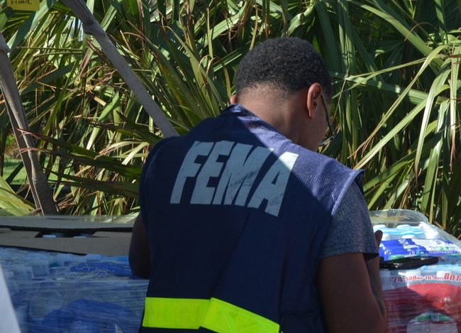 A FEMA agent in Flagler in late September. (© FlaglerLive)