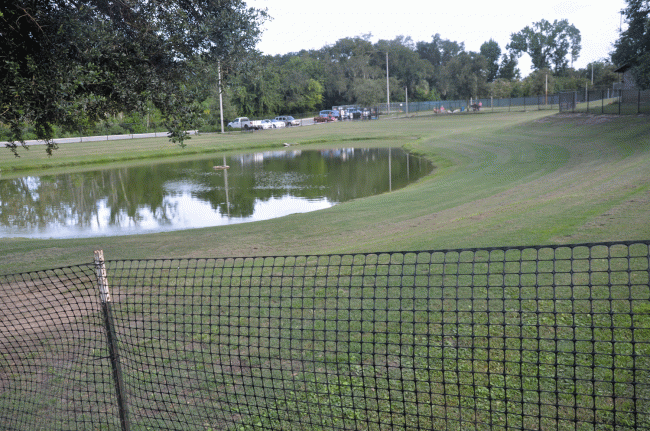 A temporary fence at Palm Coast's dog park, at Holland Park, is designed to give city crews time to test the pond's waters and devise a safety plan. Blue-green algae, whose presence has not been detected so far in Palm Coast, is dangerous to dogs that drink from or swim in the water. Click on the image for larger view. (© FlaglerLive)