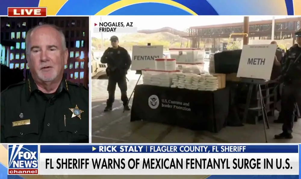 Sheriff Rick Staly during his appearance on Fox and Friends First early Wednesday morning. (Fox screen capture)