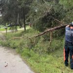 A Palm Coast fire crew removing a downed tree last week. (Palm Coast)