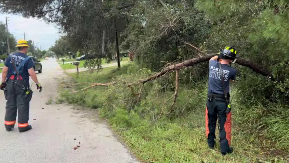 A Palm Coast fire crew removing a downed tree last week. (Palm Coast)
