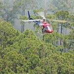 Flagler County FireFlight, the county's emergency's helicopter, during Friday's operation. (Flagler County)