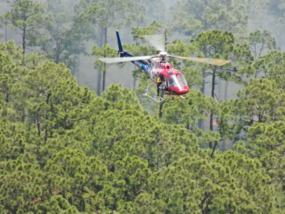 Flagler County FireFlight, the county's emergency's helicopter, during Friday's operation. (Flagler County)