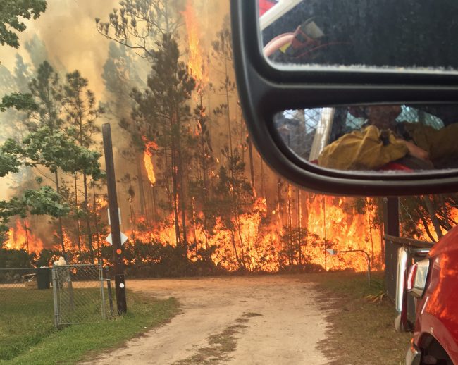 Fire in the Mondex. Click on the image for larger view. (Flagler County Fire Rescue)