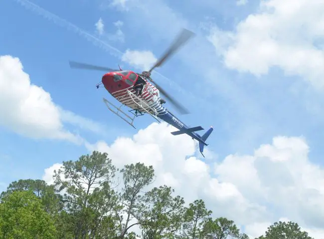 Flagler County Fire Flight, the emergency helicopter, was called in to assist the sheriff's office over the B Section this morning. (© FlaglerLive)