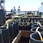 Santore's fireworks set-up on the pier at a previous July 4. Santore, based in west Flagler, cannot produce the show on the 4th this year. (© FlaglerLive)