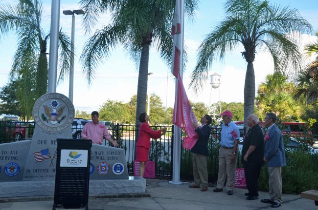 pink army flag-raising