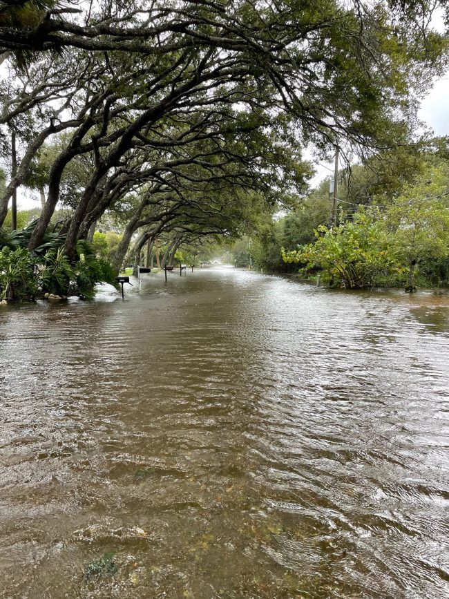 Flagler Avenue this afternoon. (© Rick Belhumeur for FlaglerLive)