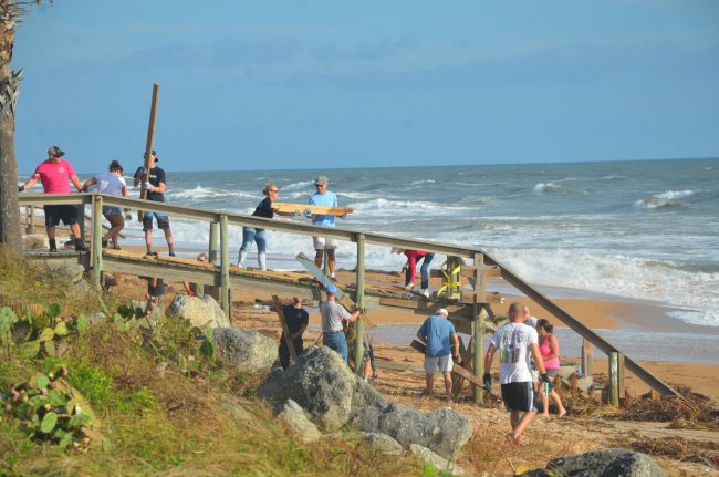 They worked in waves Sunday morning, some 150 volunteers along the Flagler Beach shore, cleaning up the mess Hurricane Matthew left behind so the city's beaches could begin reopening by mid-week, bringing back visitors and residents. Click on the image for larger view. (© FlaglerLive)