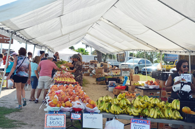 flagler beach farmers market