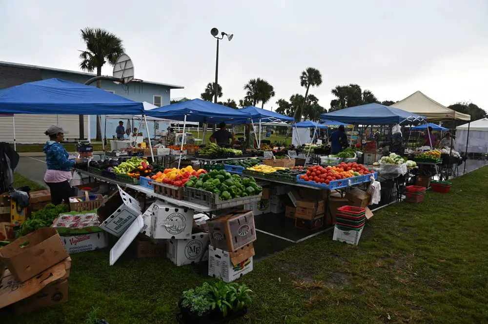 The Flagler Beach Farmers' Market. (© FlaglerLive)