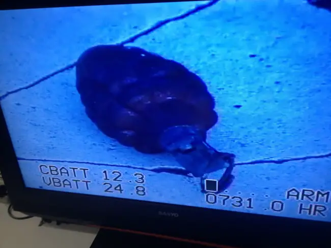 The image of the grenade found at the side of the road on Palm Coast Parkway on Tuesday. Click on the image for larger view. (St. Johns County Sheriff's Office)
