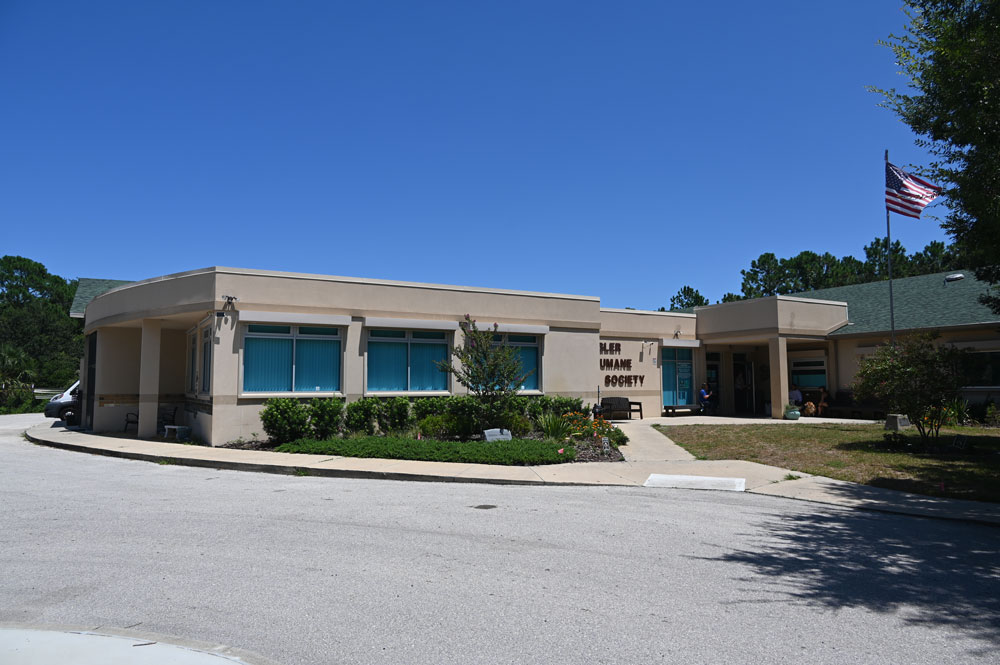 The Flagler Humane Society needs space. Palm Coast needs data. (© FlaglerLive)