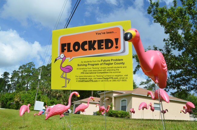 flocking future problem solvers fund raiser flagler