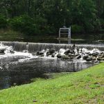 The flood-control structure to be repaired, off Royal Palms Parkway, handles 50 to 60 percent of all flood waters in Palm Coast. (© FlaglerLive)