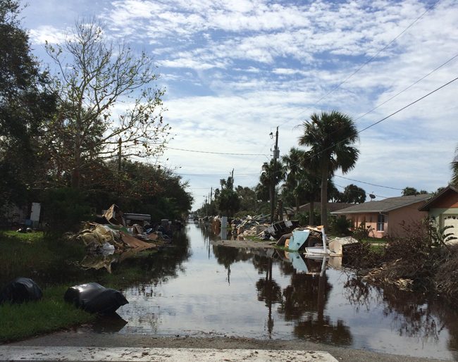 In Flagler Beach, it's deja flood all over again. (c FlaglerLive)