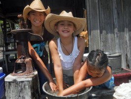 florida agricultural museum