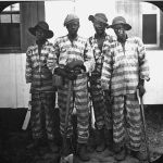 Florida convicts leased to harvest timber circa 1910. (Florida Memory)