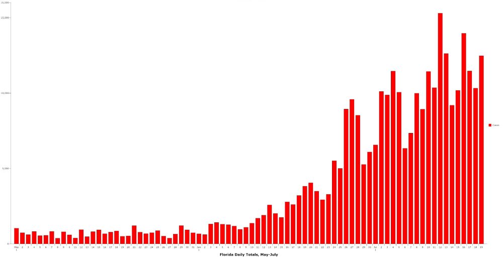 Only Brazil and India have Covid numbers worse than Florida in July, though Brazil has a population of 210 million and India a population of 1.3 billion. Florida's rate of infection is significantly higher. (© FlaglerLive)