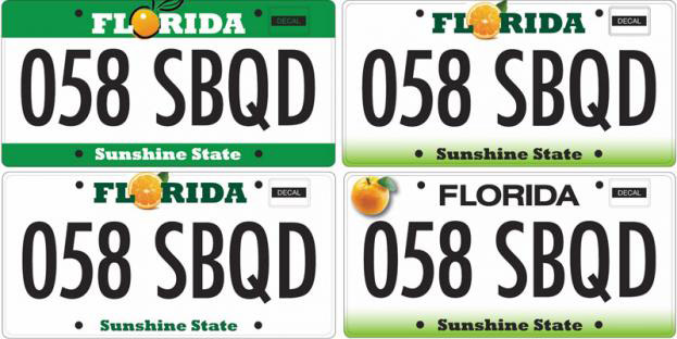 flagler-tax-collector-suzanne-johnston-criticizes-state-s-license-plate