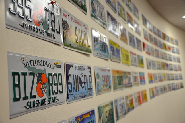 Smacked by Local Tax Collectors, Florida Retreats on License Plate