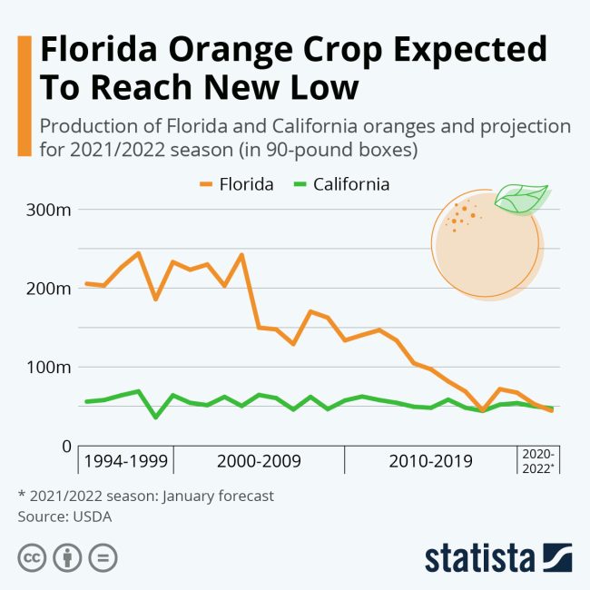 citrus crop florida