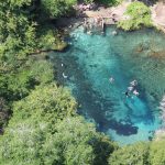 Ichetucknee Springs in North-Central Florida. (FWC)