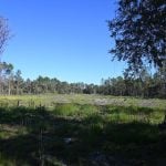 Still vacant: the land in Bunnell where the Florida State Guard was supposed to have a training facility by now. (© FlaglerLive)